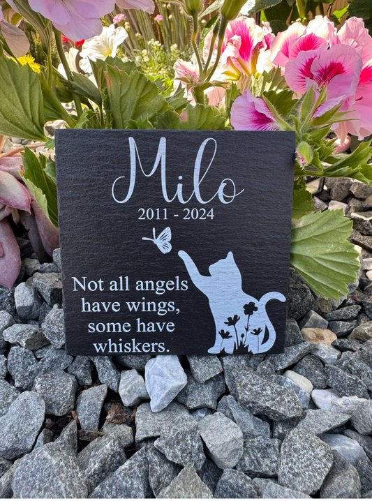Cat memorial not all angels have wings