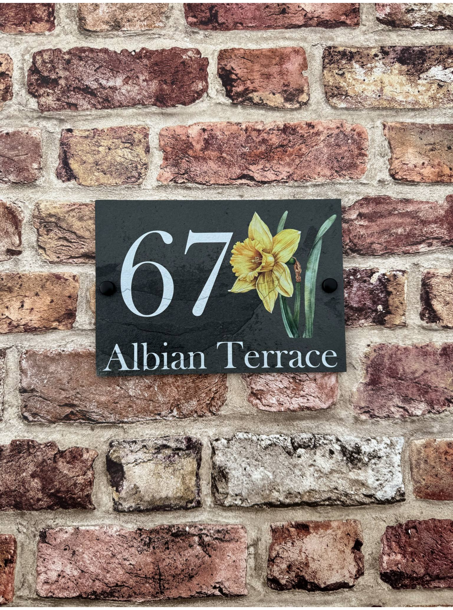 Daffodil slate house sign