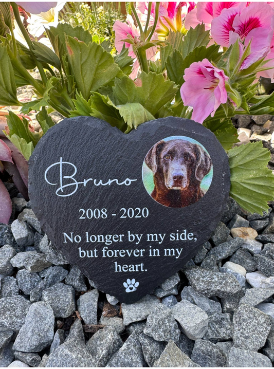 Pet memorial slate no longer by my side.