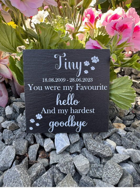 Pet memorial you were my favourite hello