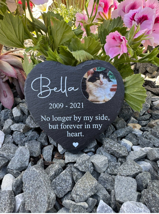 Pet memorial slate no longer by my side.
