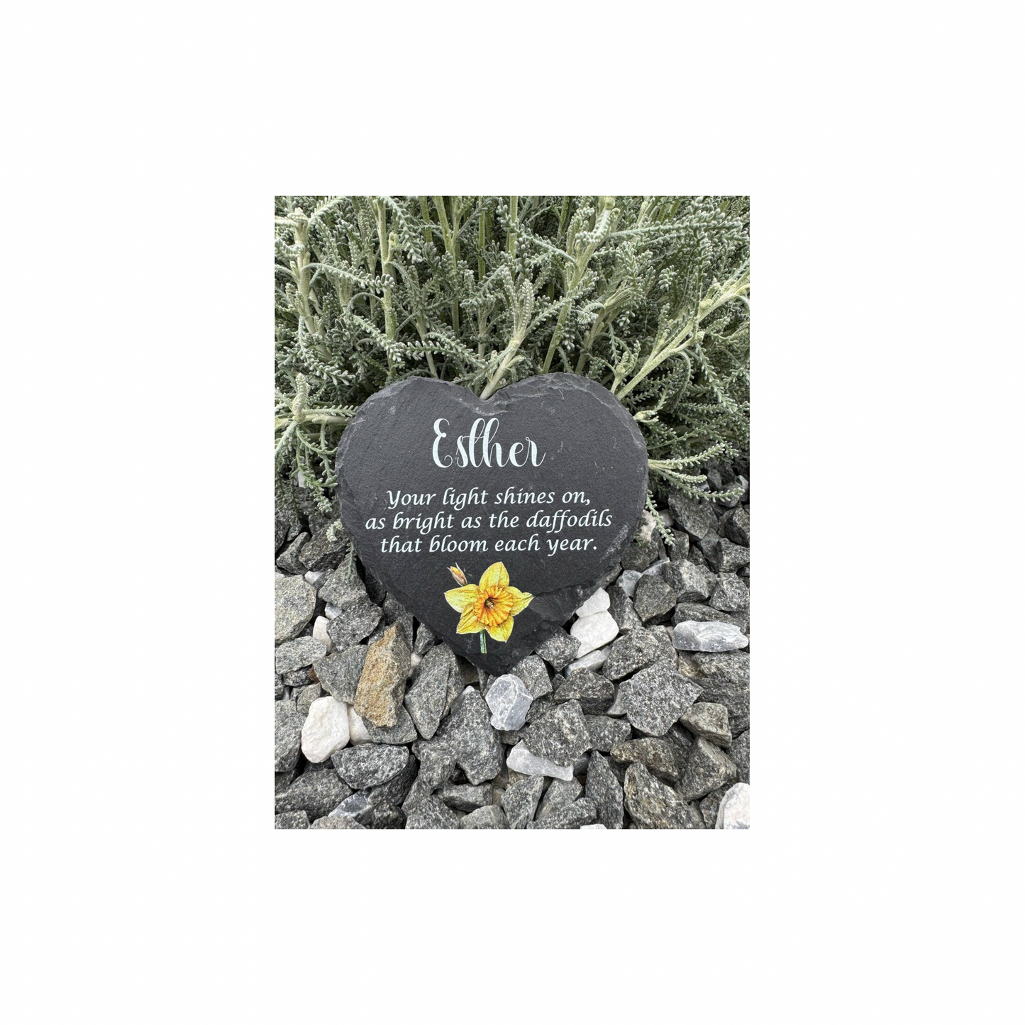 Daffodil memorial heart slate