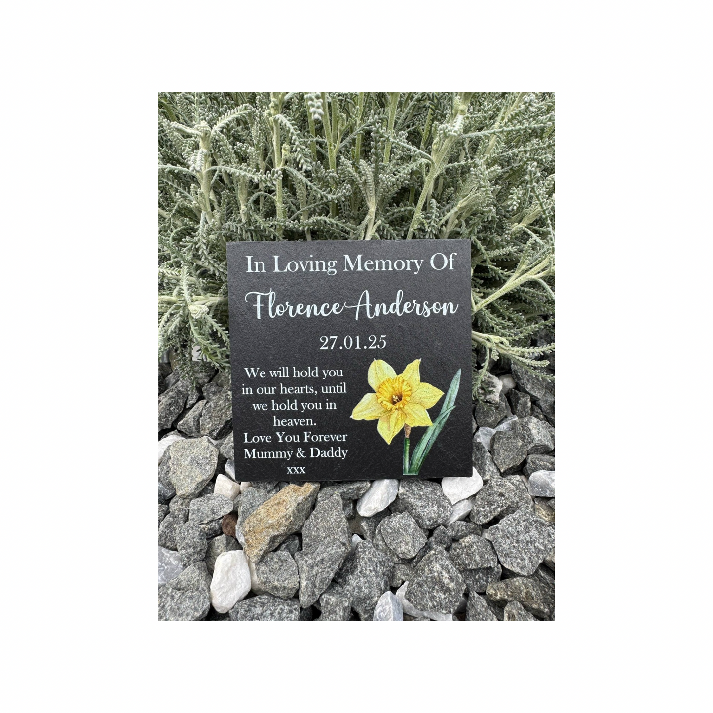 Daffodil memorial slate