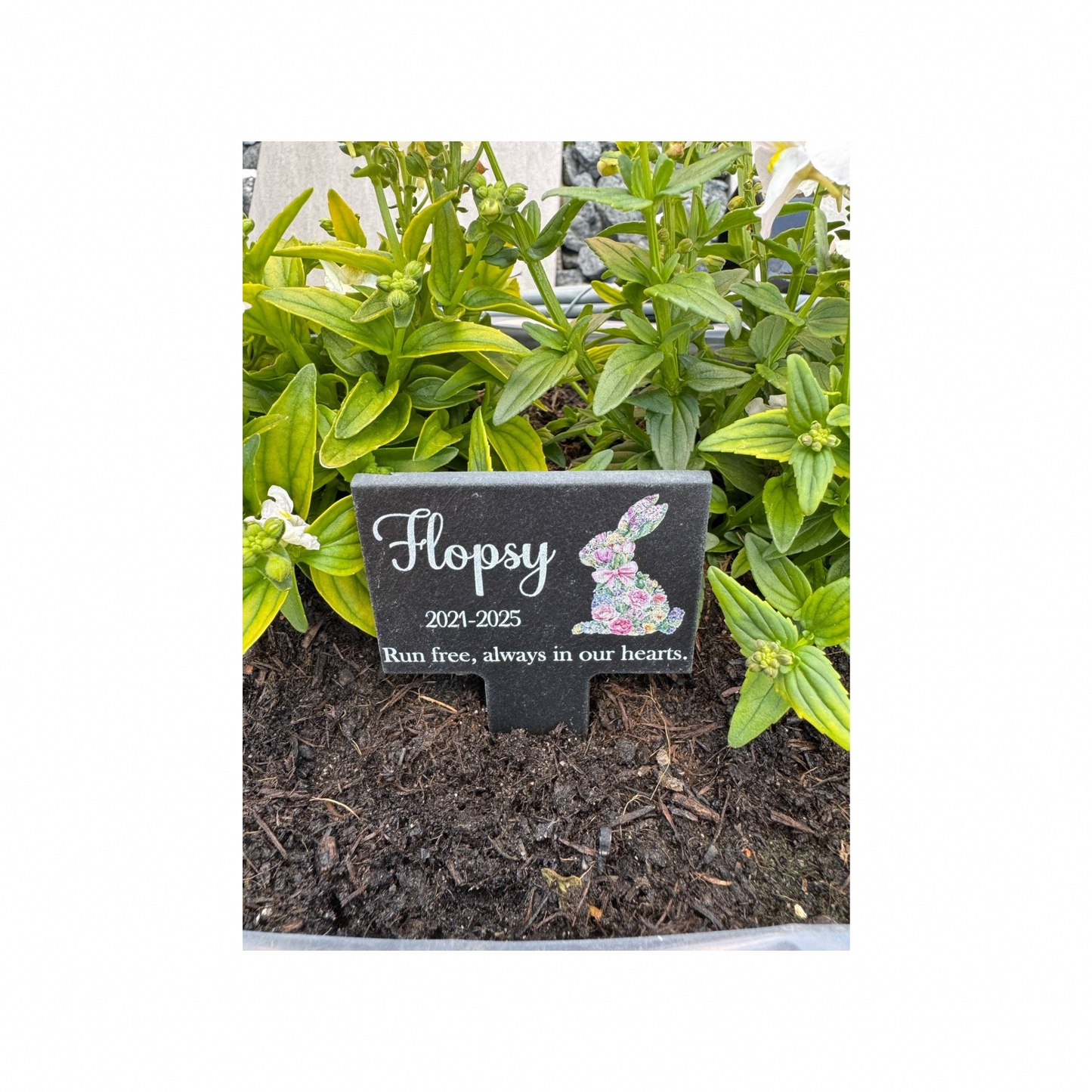 Pet rabbit grave marker.