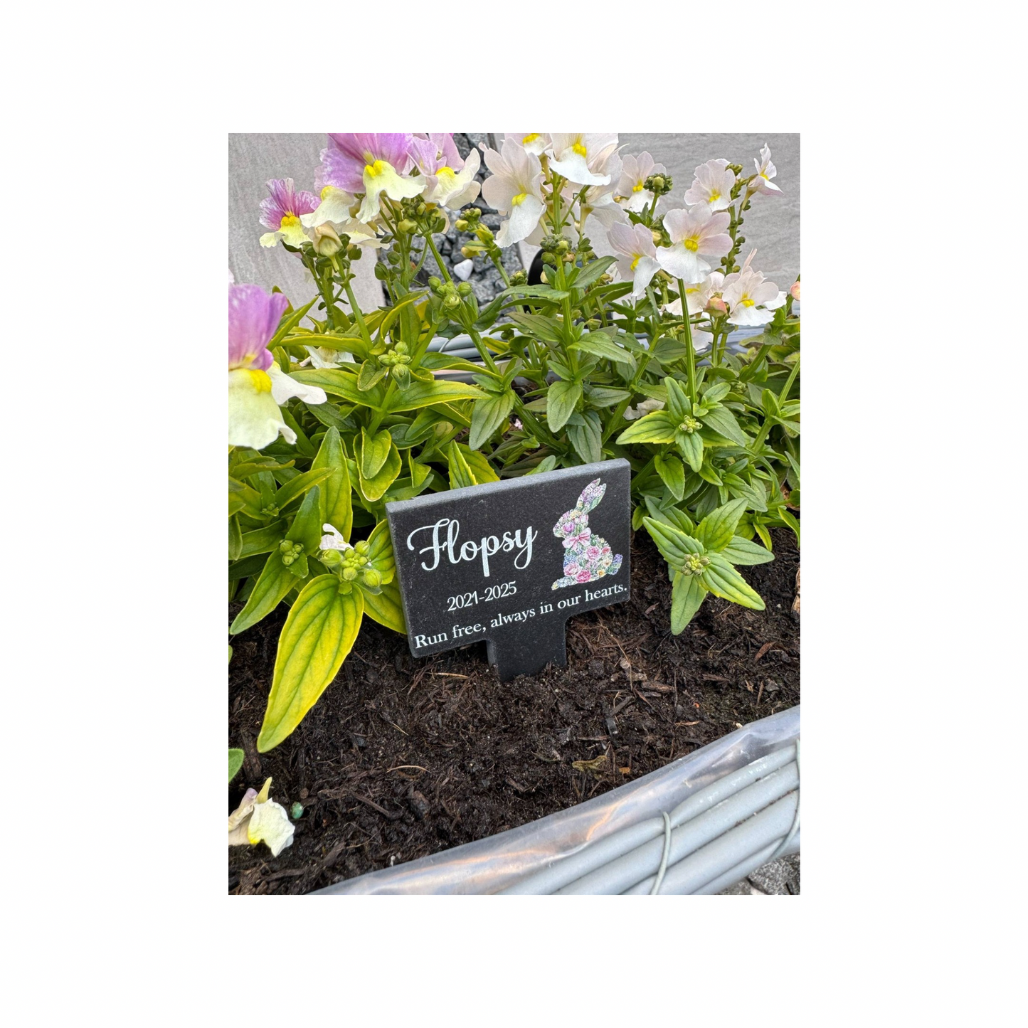 Pet rabbit grave marker.