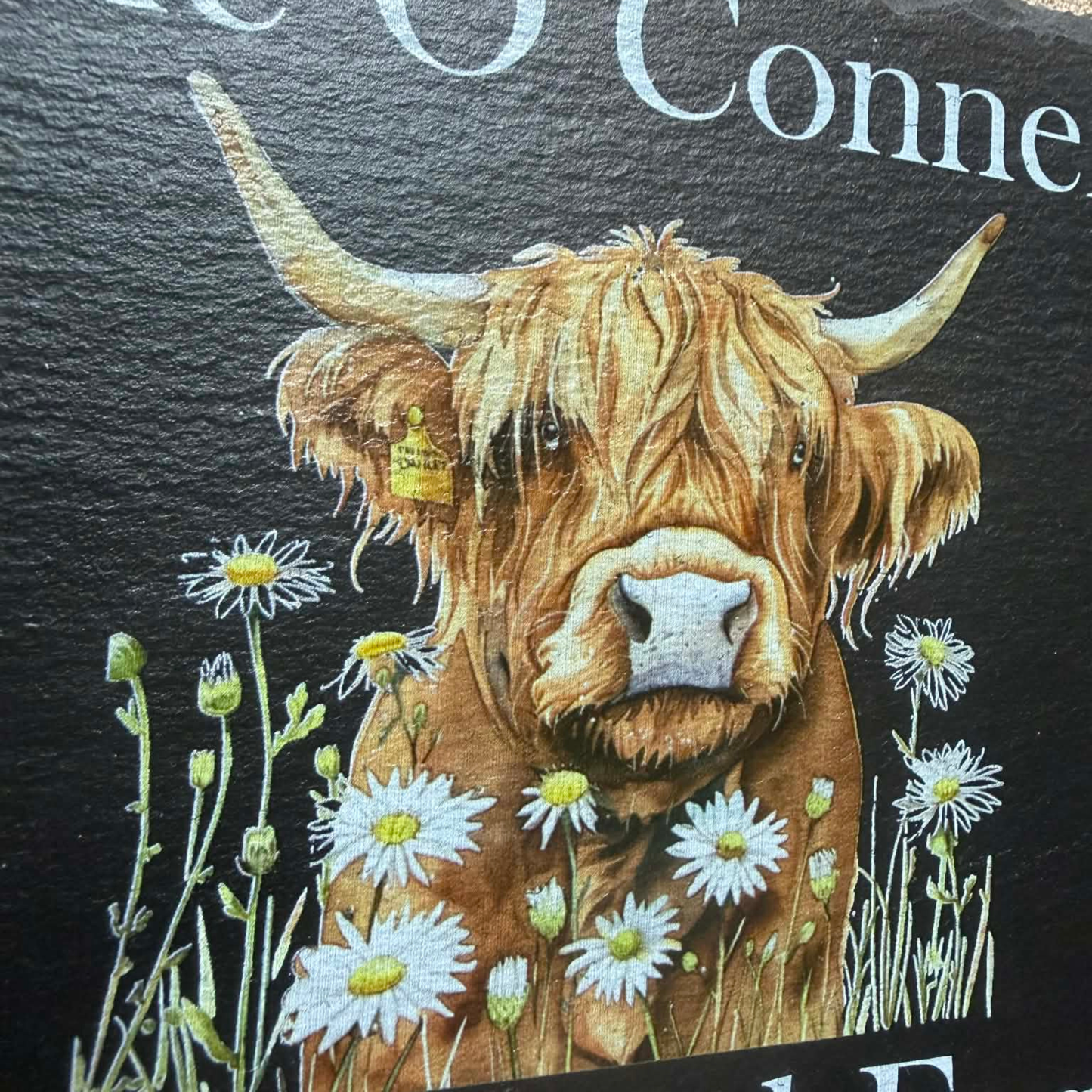 Highland cow with flowers slate house sign
