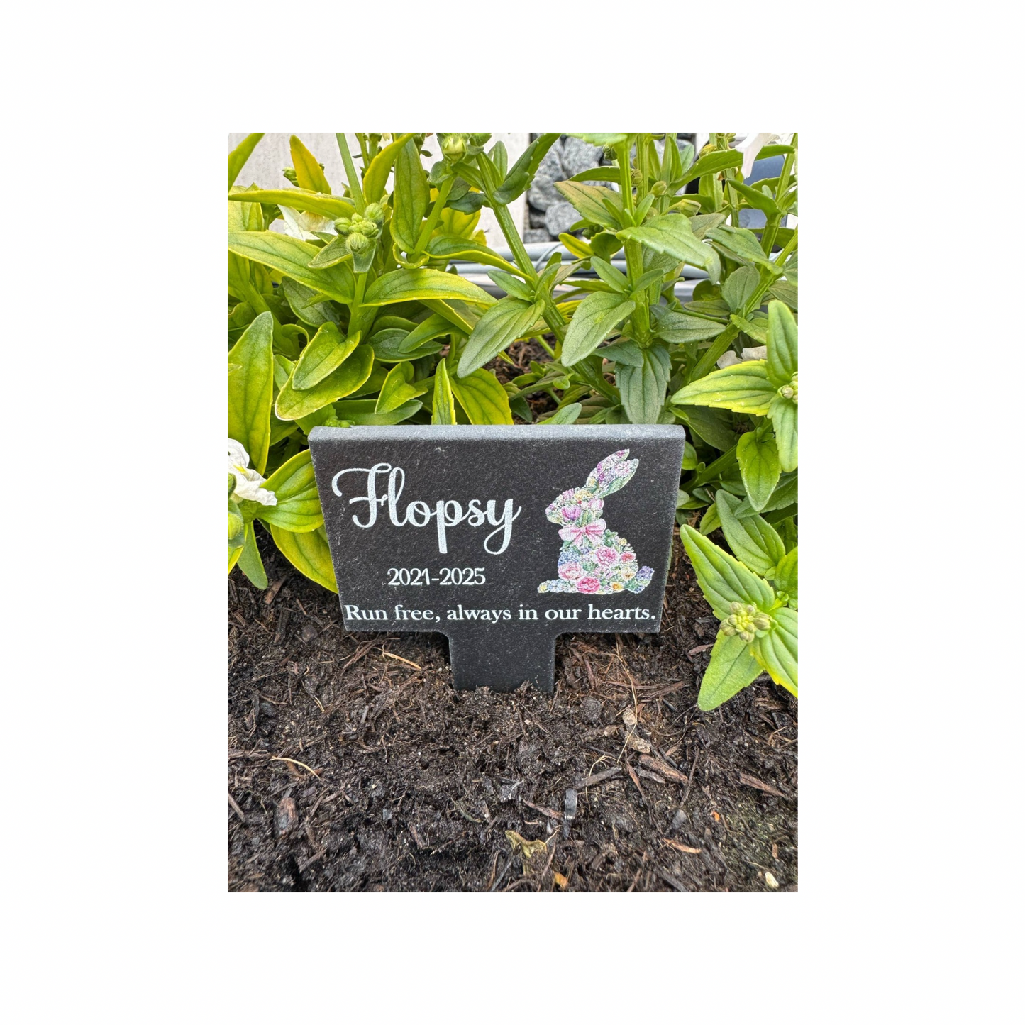 Pet rabbit grave marker.