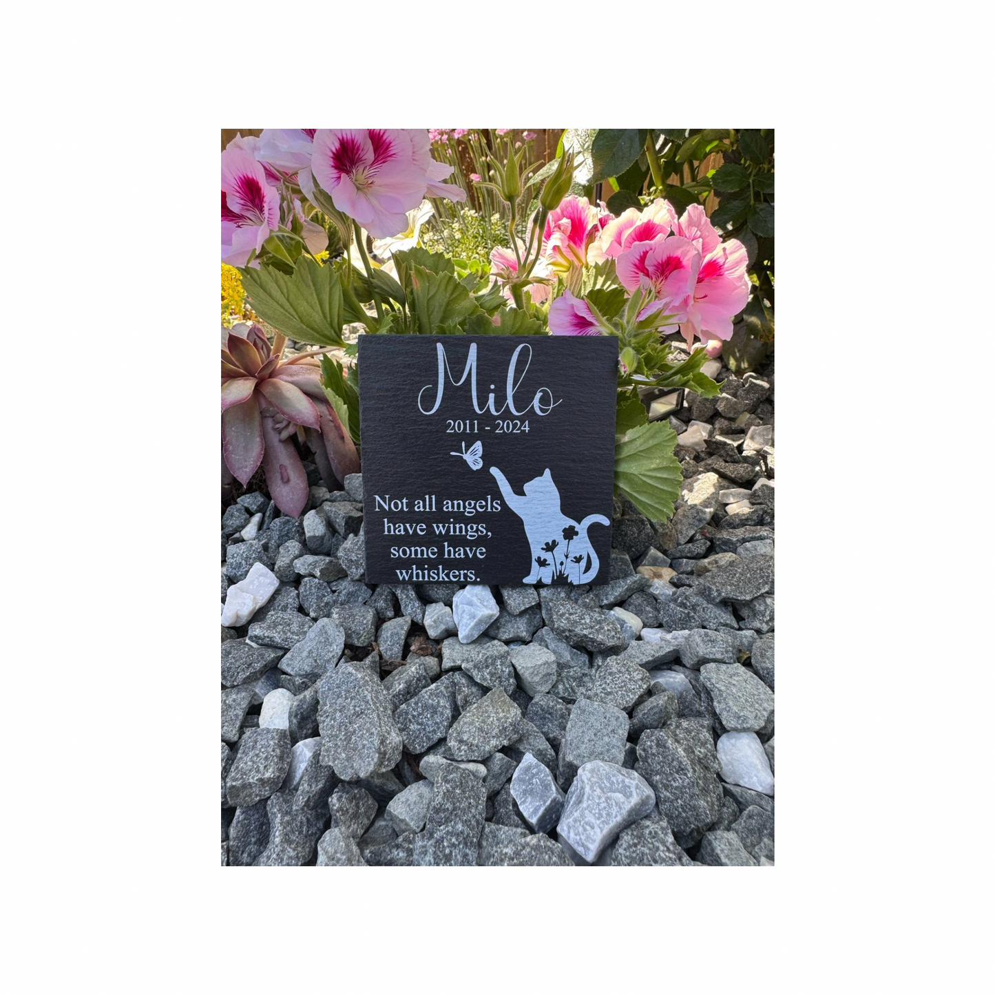 Cat memorial not all angels have wings