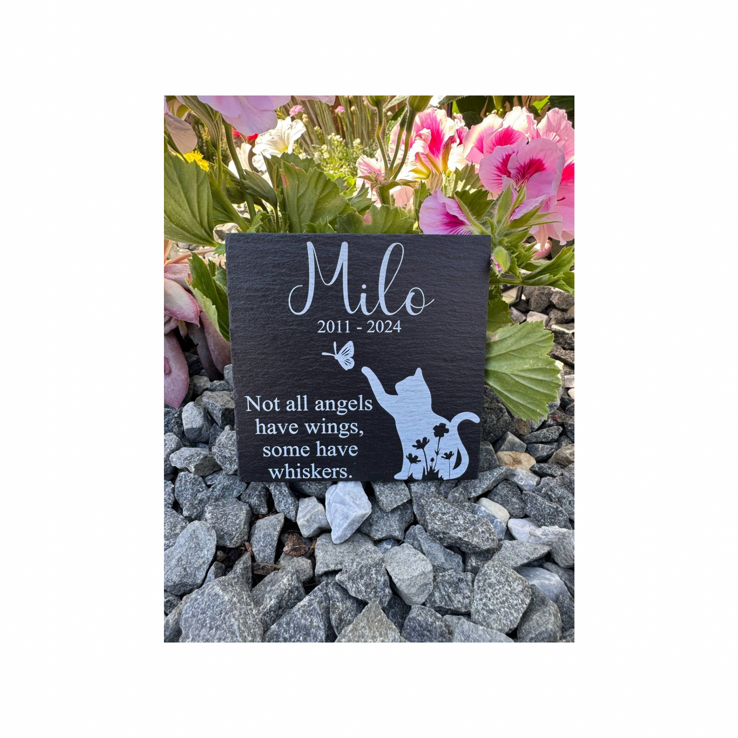 Cat memorial not all angels have wings