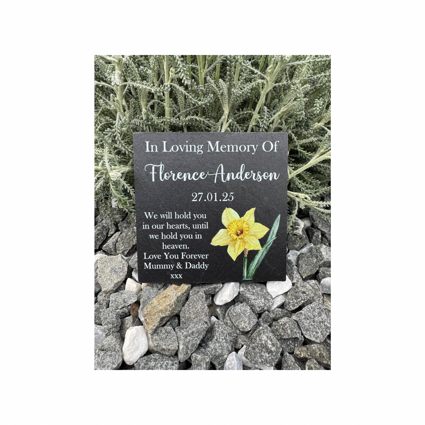 Daffodil memorial slate