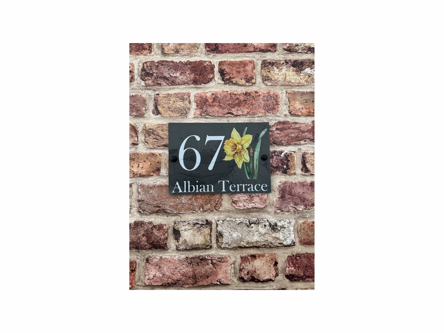 Daffodil slate house sign