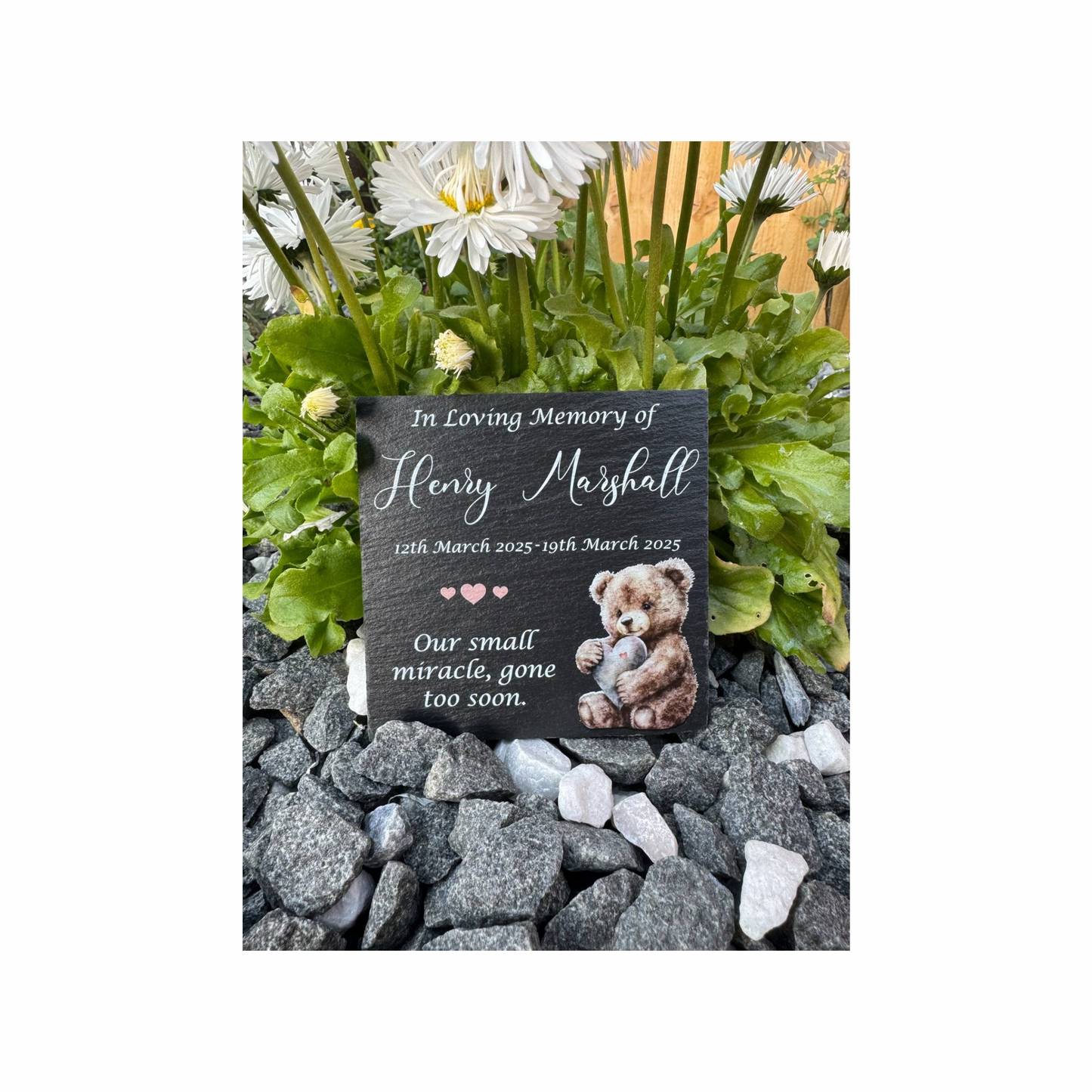Teddy bear child’s slate memorial