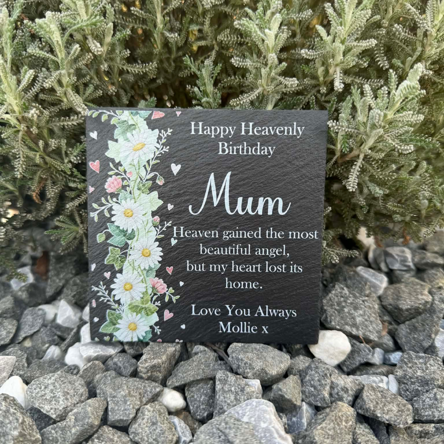 Birthday heaven gained the most beautiful angel