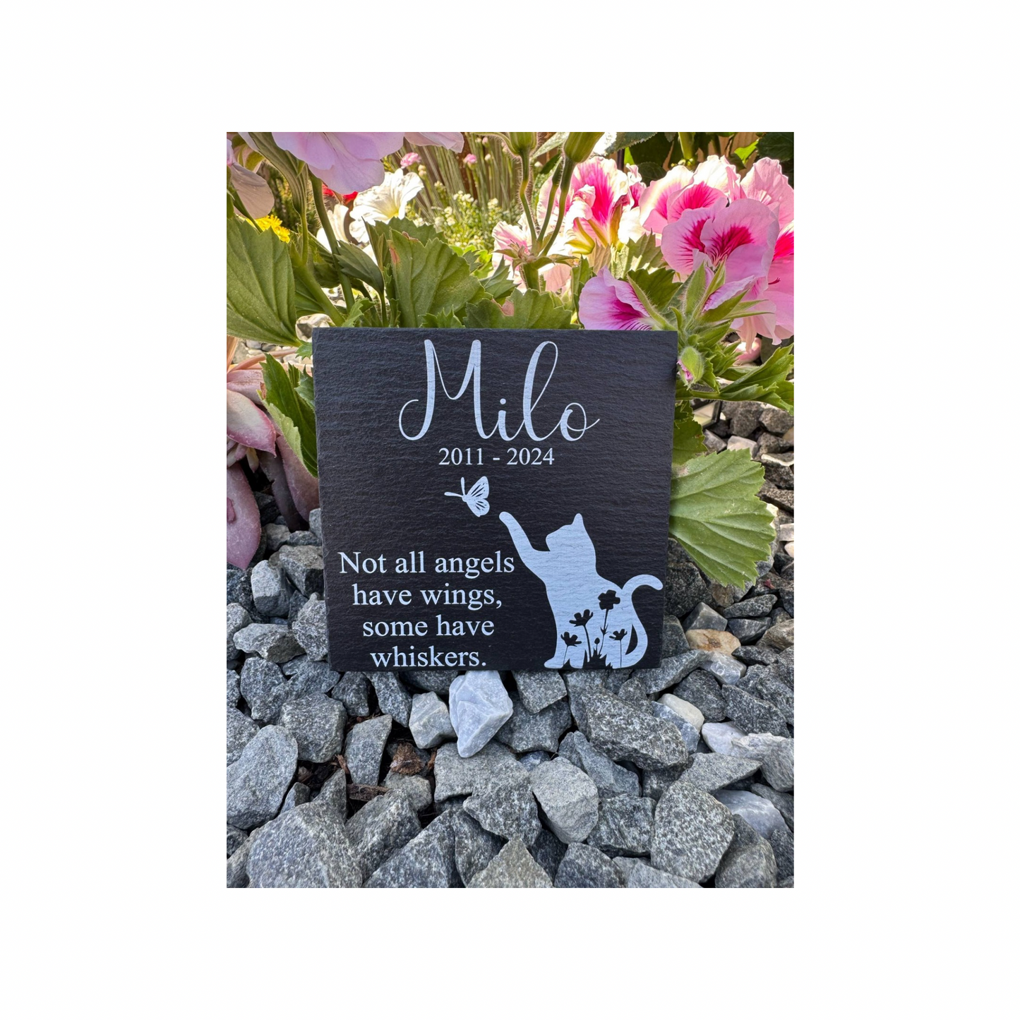 Cat memorial not all angels have wings